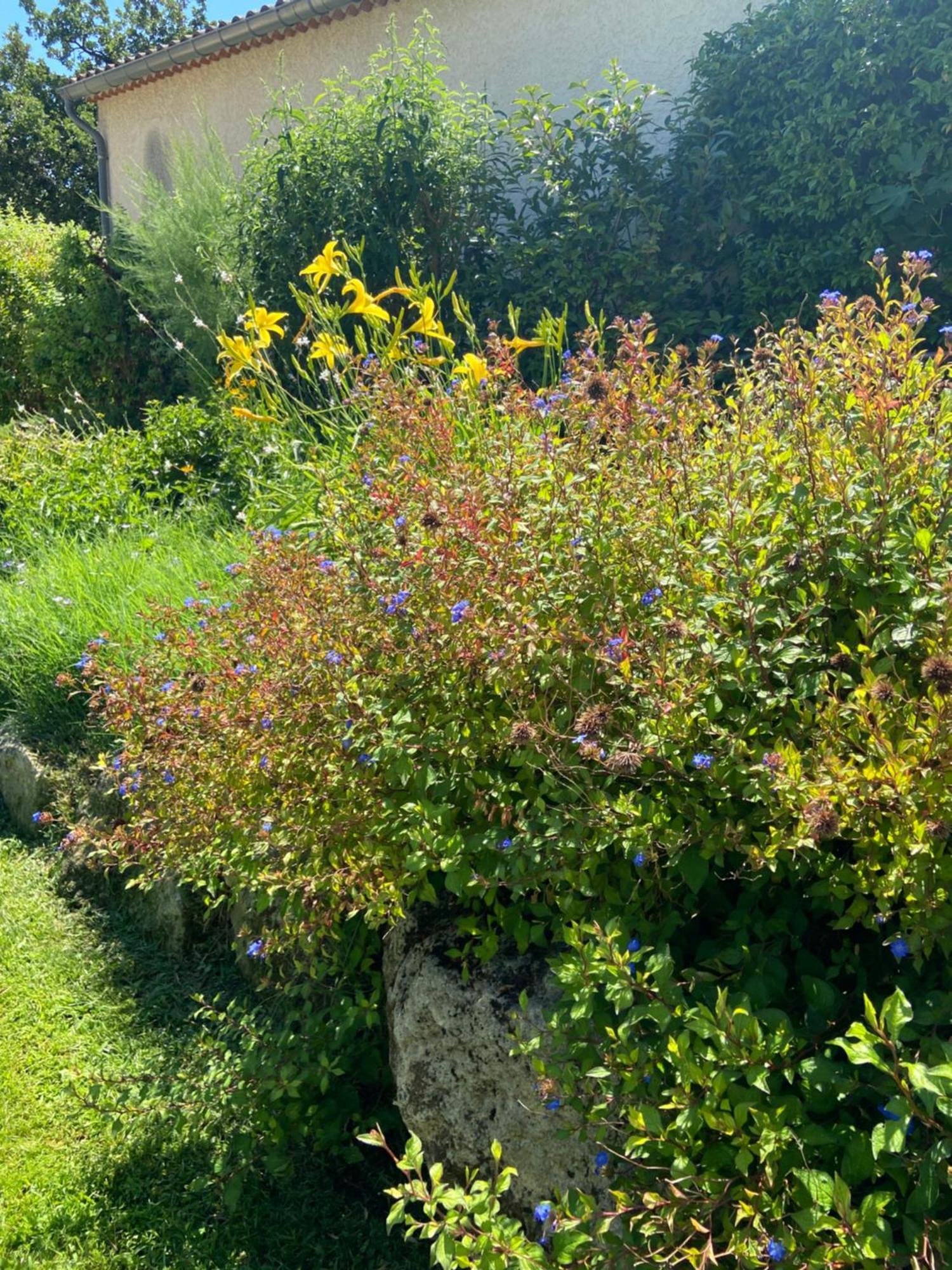 Paradis Provencal Villa - Espace Detente Et Bbq Lmv Carpentras Ngoại thất bức ảnh